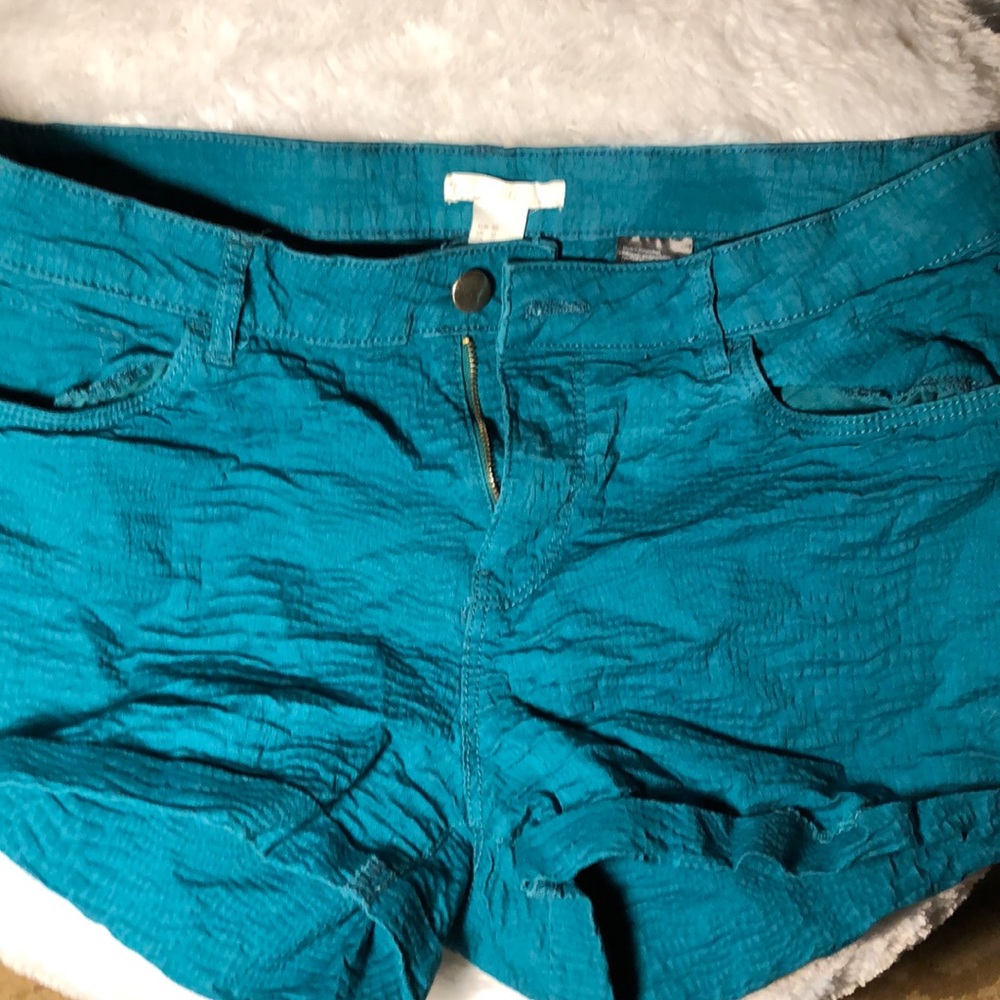 Teal Shorts Cute and Soft•